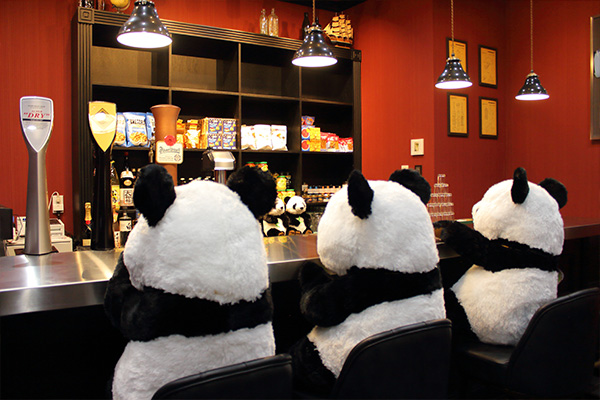 Bar Image 02