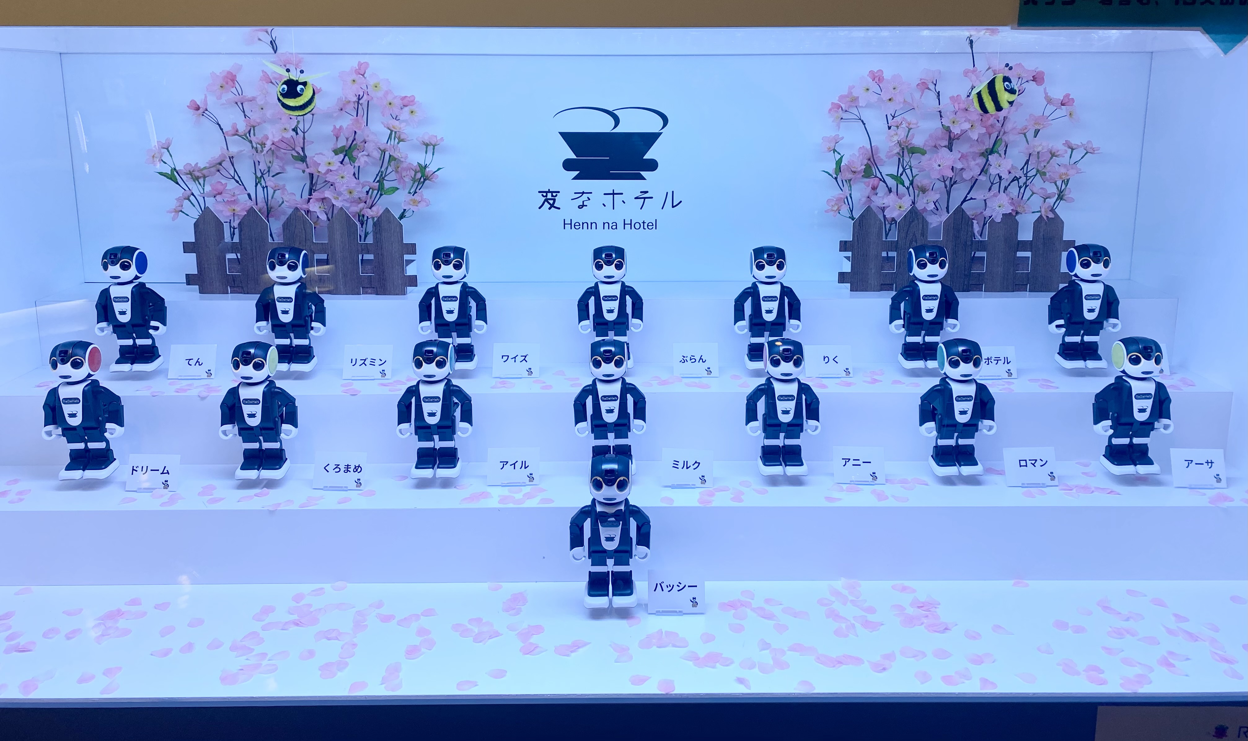 The Robohon decoration has been updated to the spring version🌸