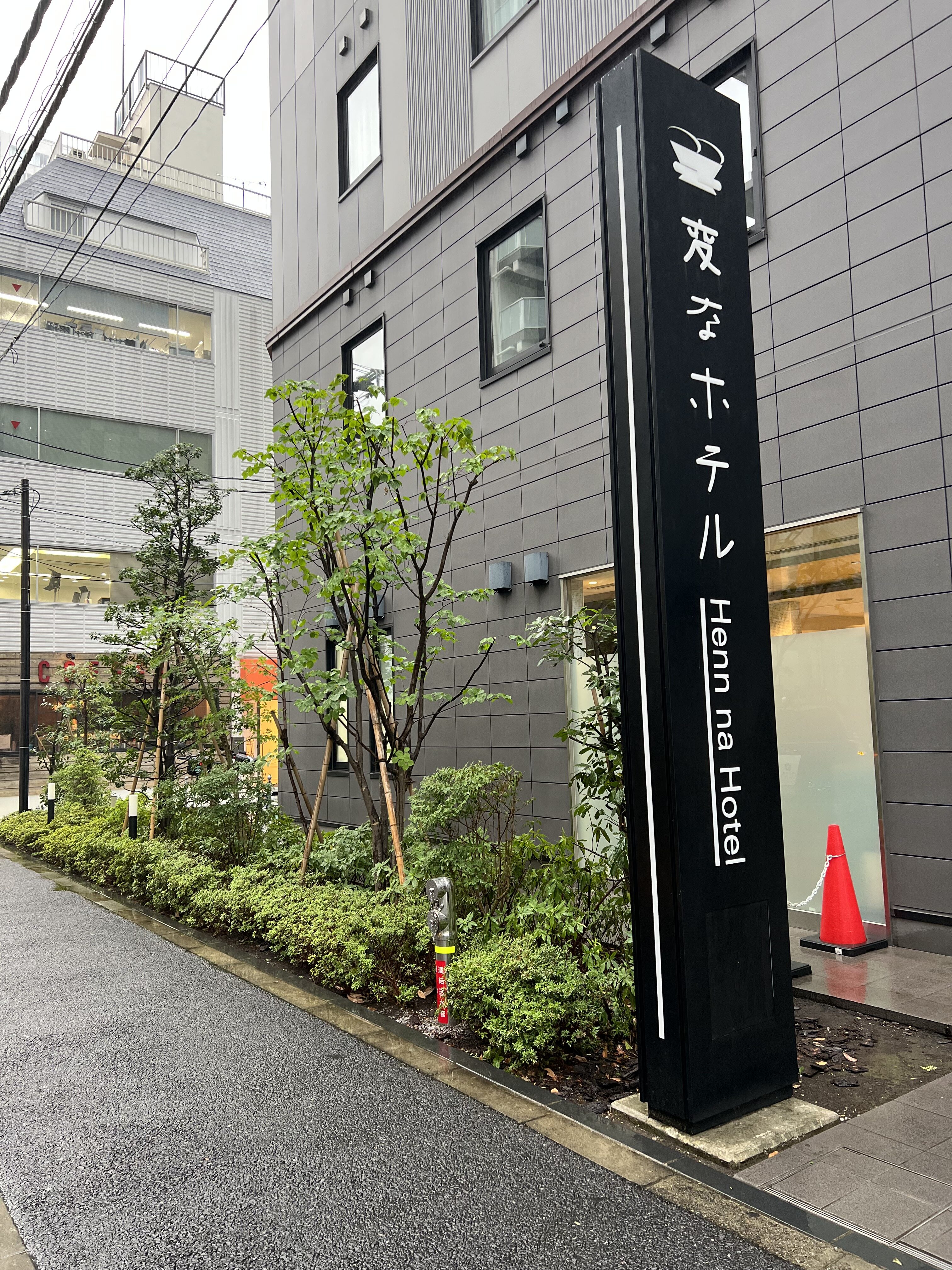 ~ Pruning of the plants has been completed ~