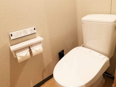 Toilet with warm water bidet (some with unit bath)