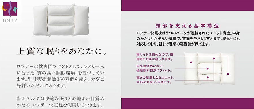 Loftee Comfortable Sleep Pillow