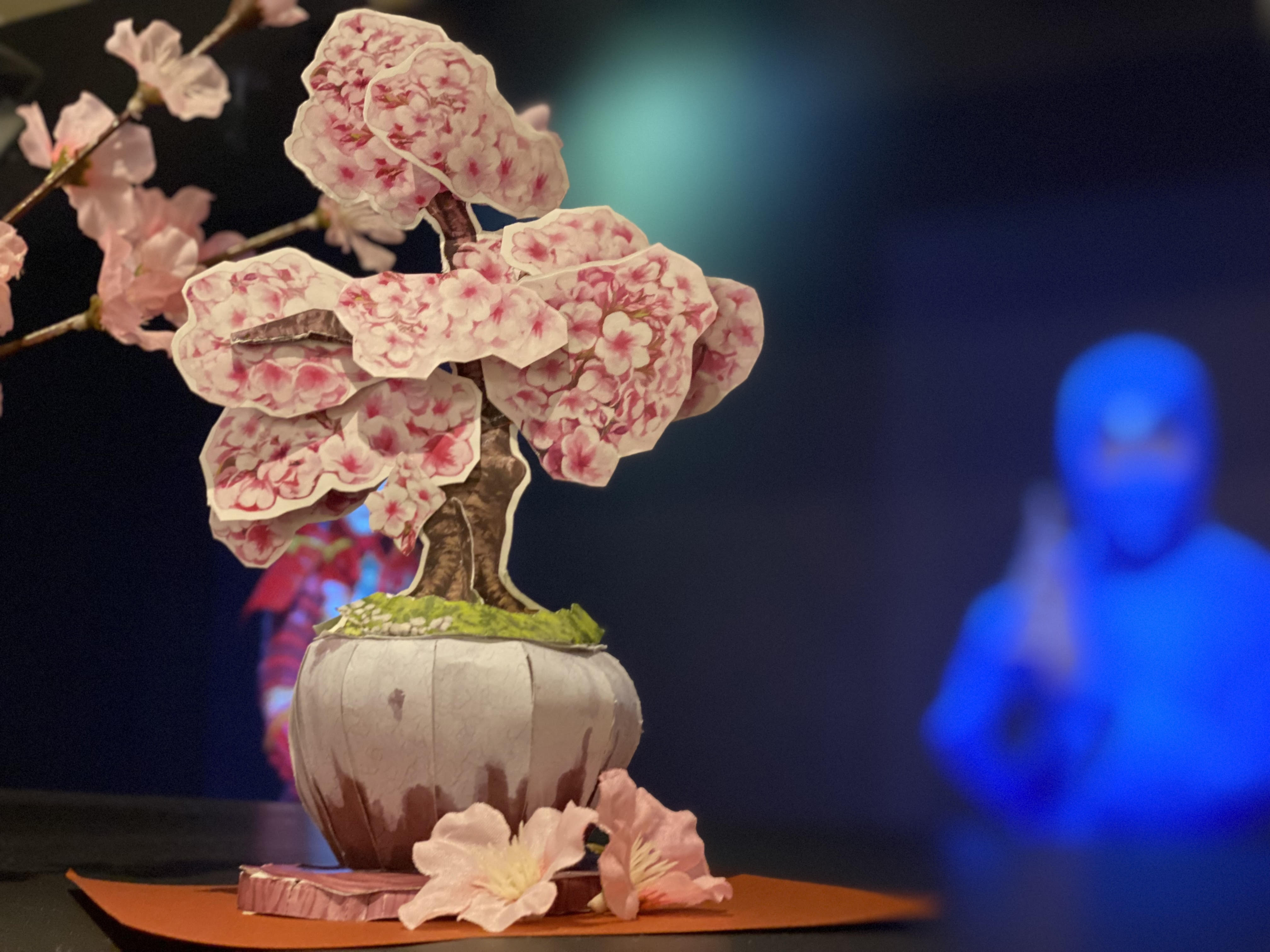 🌸Cherry blossoms are blooming at the front desk🌸