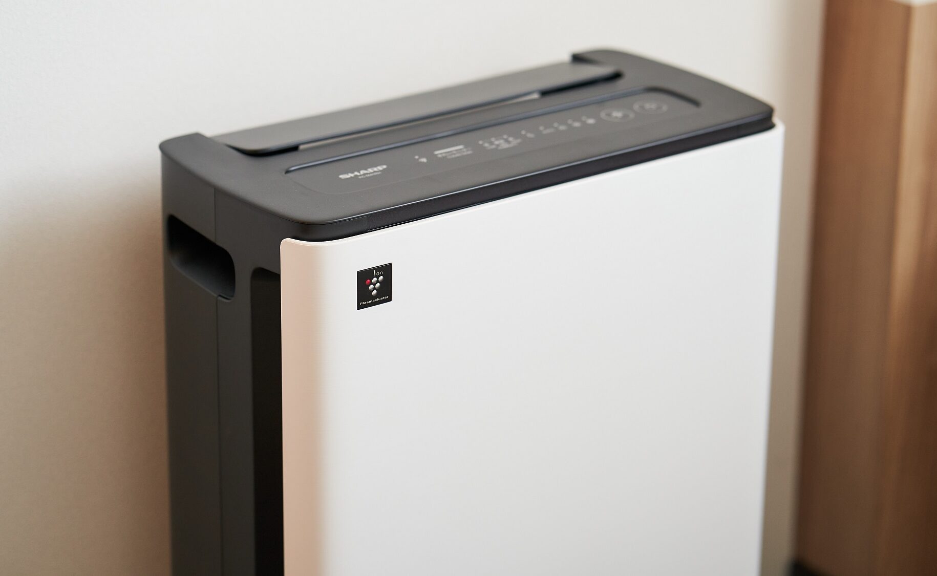 Humidifying Air Purifier