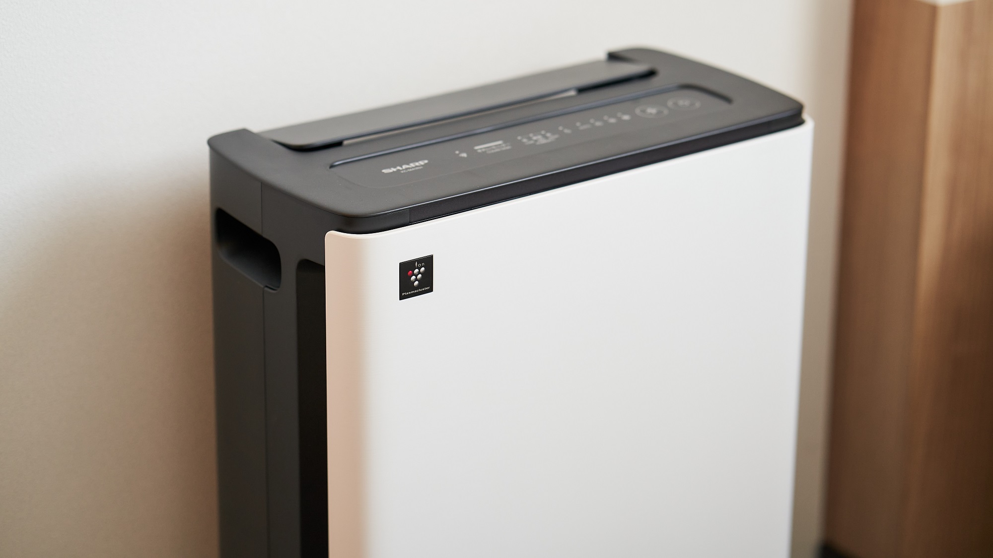 Humidifying Air Purifier