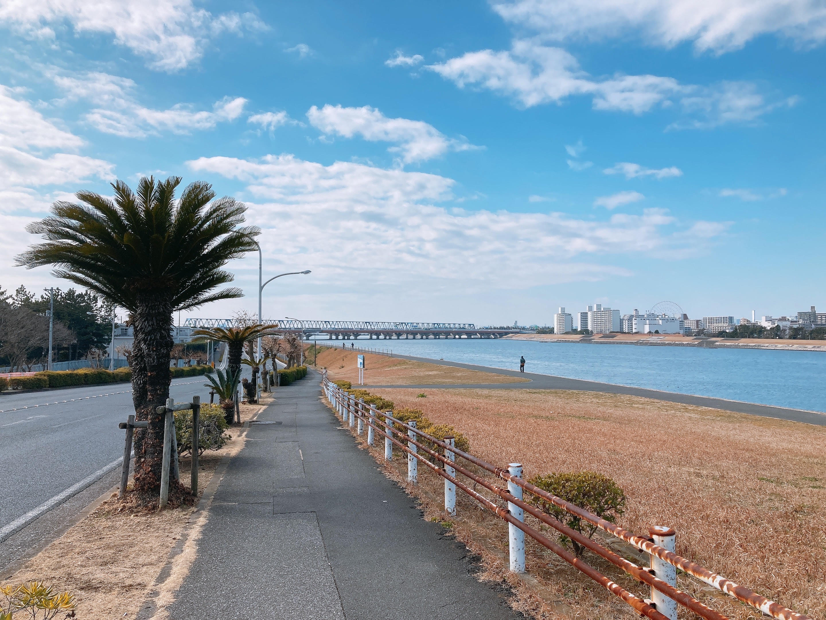 January 2022 Newsletter - The Old Edogawa and Beautiful Blue Sky