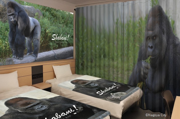 Henn na Hotel "Collaboration Rooms World Record Holder" Guinness World Records™ Certified 54 Types of Collaboration Rooms Launch of the "Shabani Room," famous as the handsome gorilla of Higashiyama Zoo and Botanical Gardens in Nagoya, Aichi Prefecture