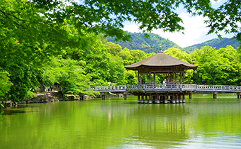 [Nara Park] About a 10-minute walk