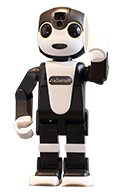 Robohon