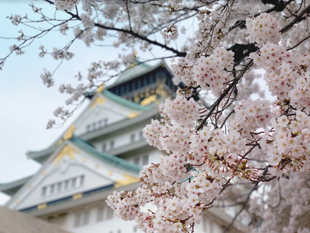 Excellent access to Osaka Castle!!