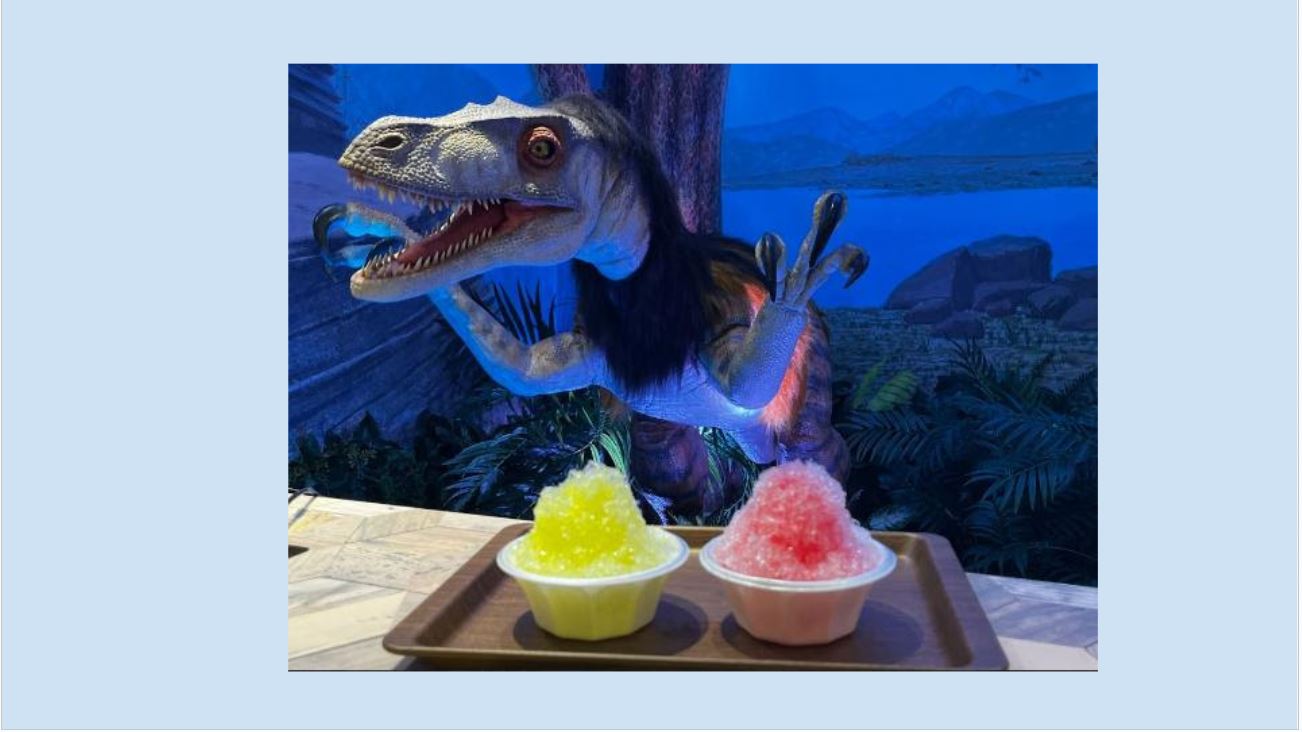 Limited Time Only!! Announcement of Shaved Ice Availability