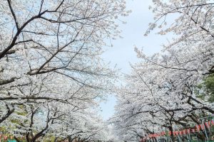 Ueno Park