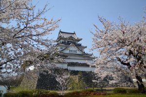 Kishiwada Castle