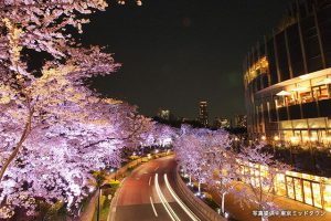 Tokyo Midtown