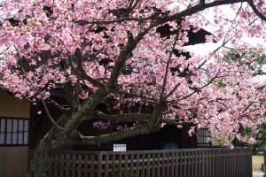 Higashi Hongan-ji