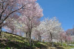 Higashiyama Zoo and Botanical Gardens