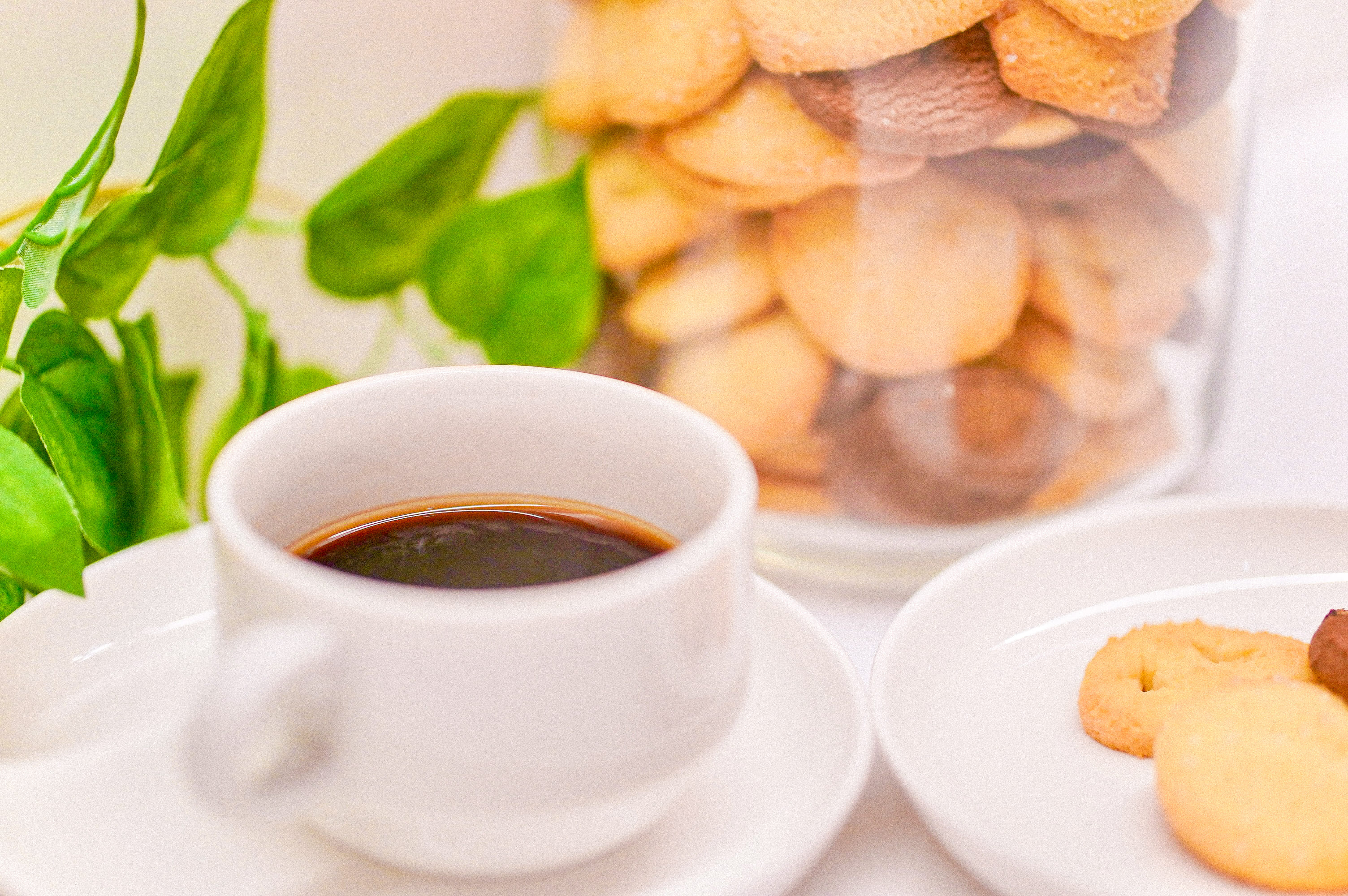 TEA TIME