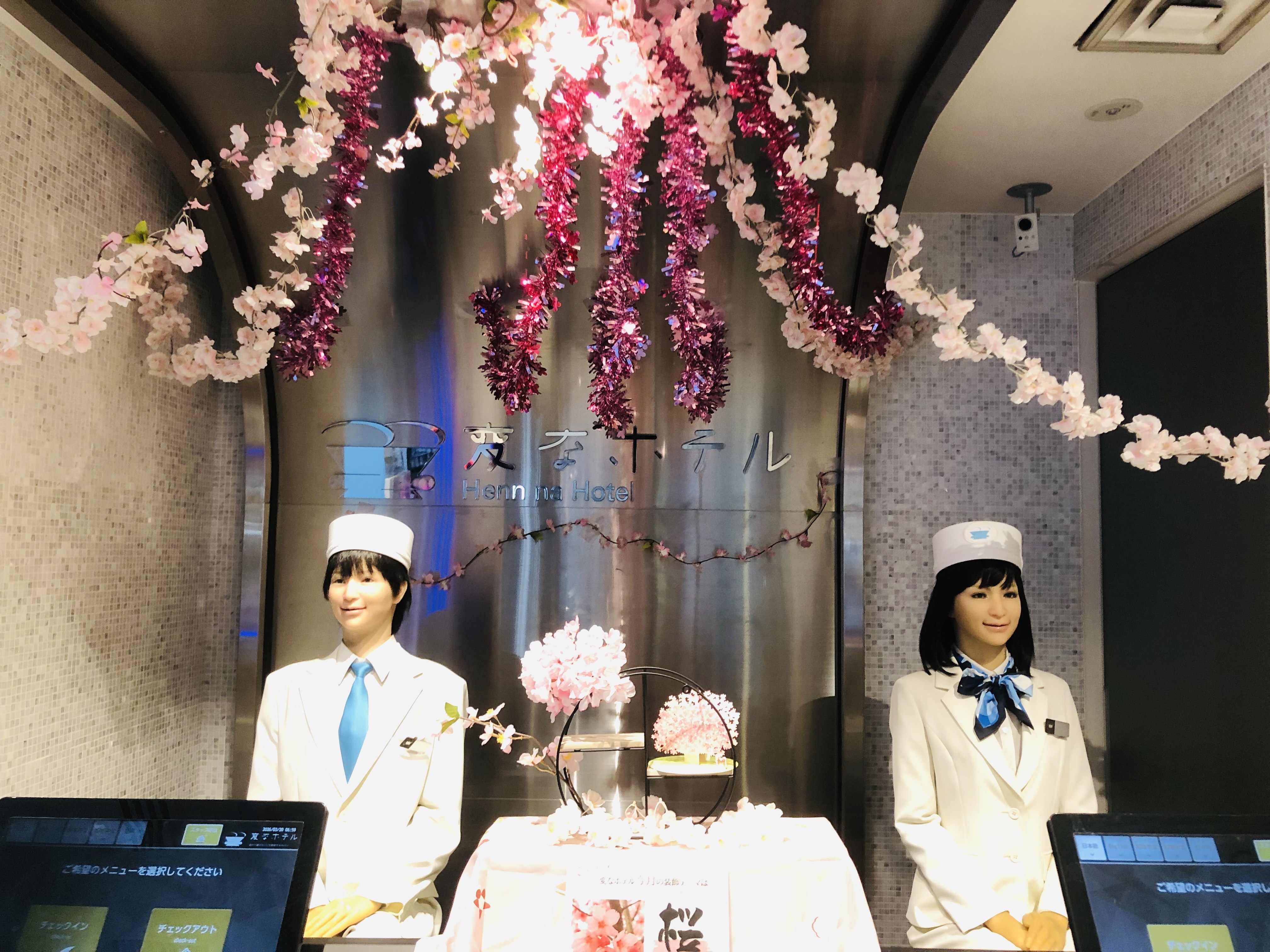 🌸올해도 벚꽃 시즌이 찾아왔습니다🌸