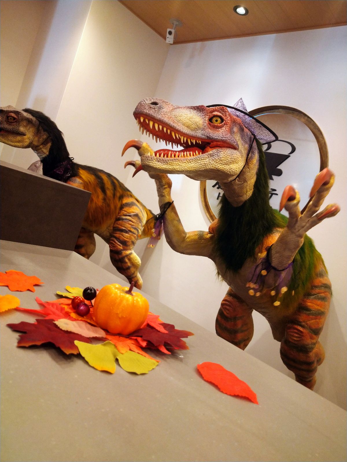 프론트가 할로윈 테마로 바뀌었습니다★🎃