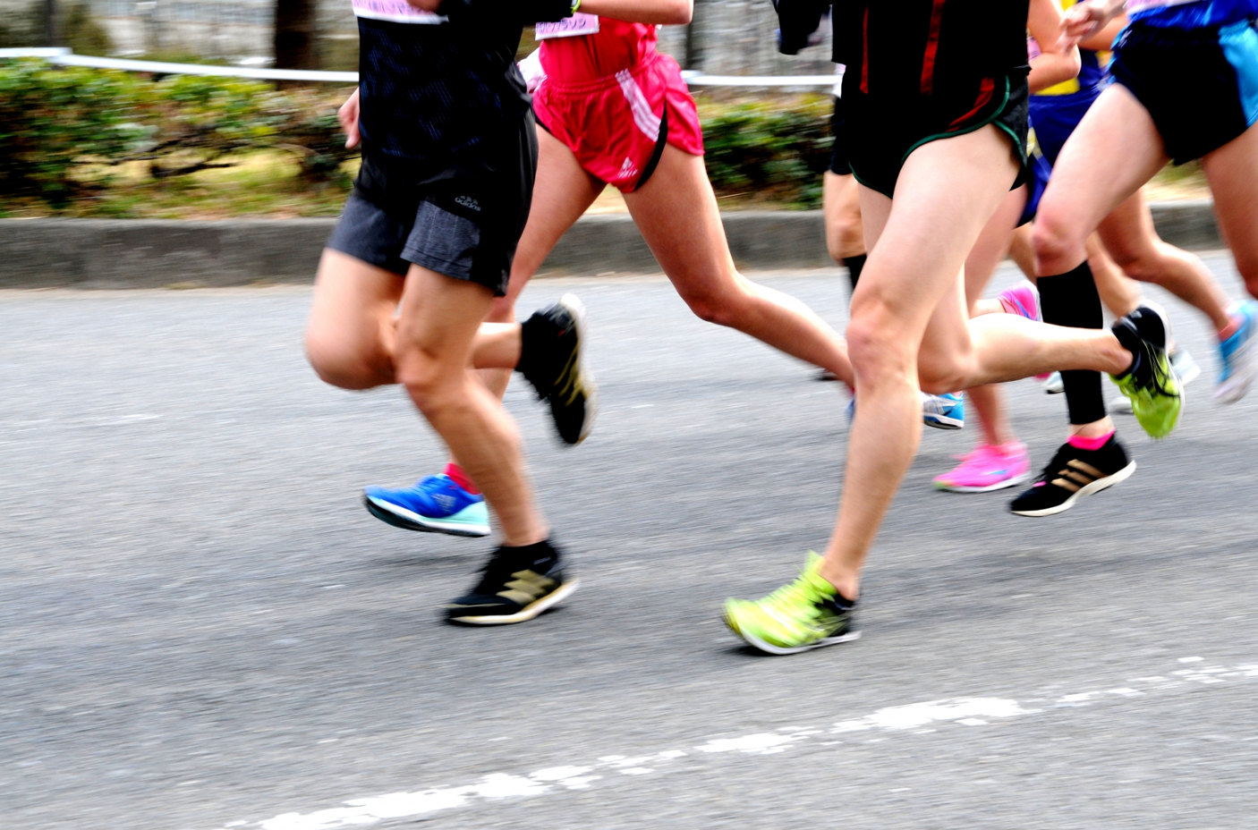 🏃나라 마라톤 2024 개최에 따른 교통 규제 안내🦌