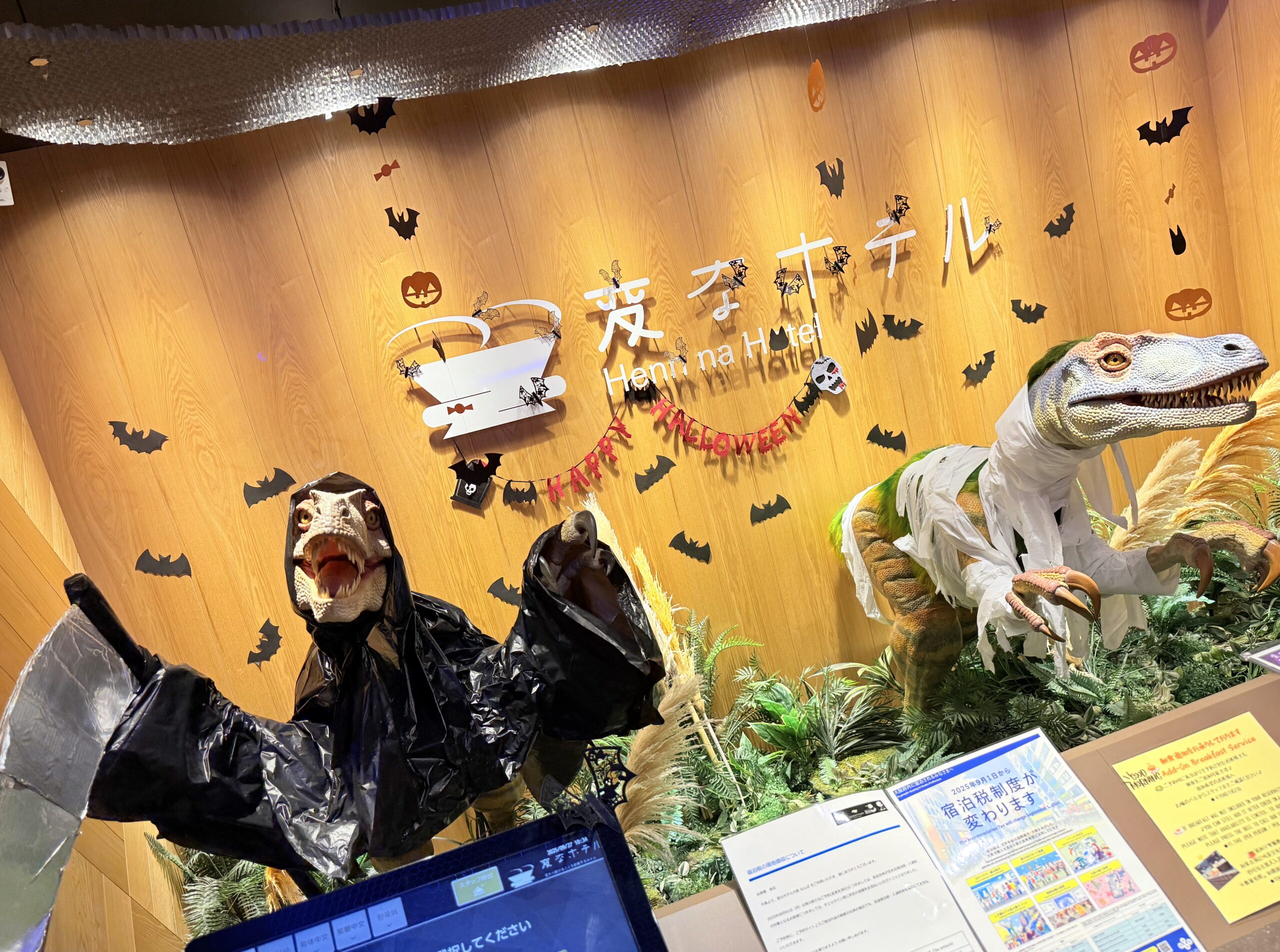 10월 할로윈 장식에 관한 안내🦇🕸