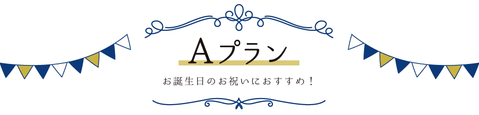 Aプラン