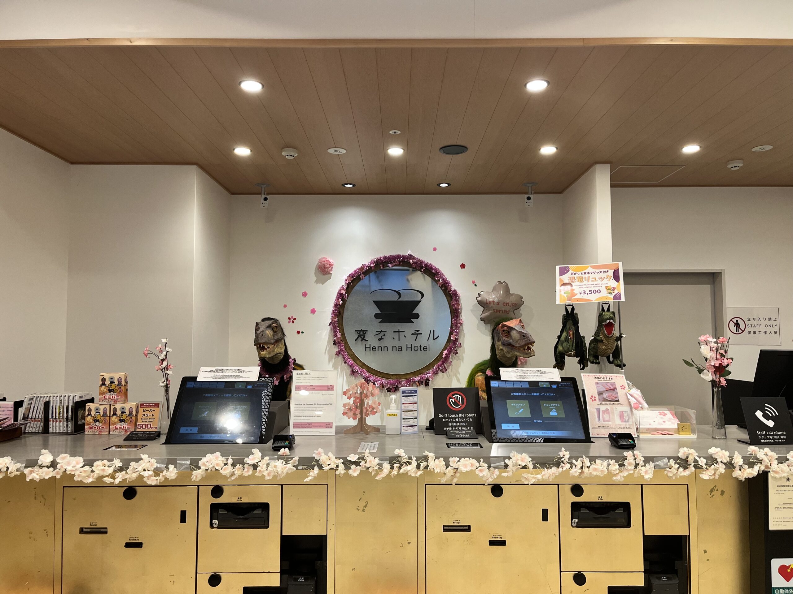 🍙🌸樱花即将盛开🌸🍙