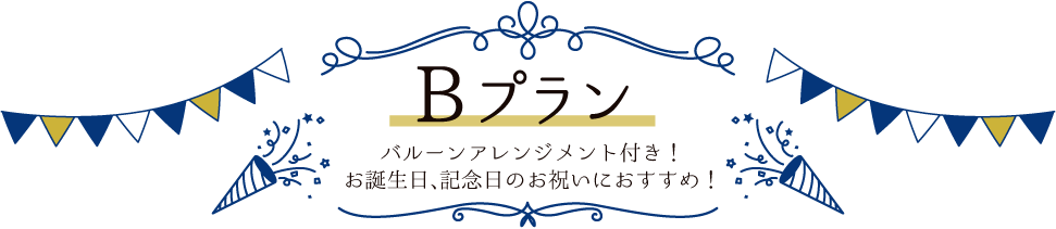 B计划