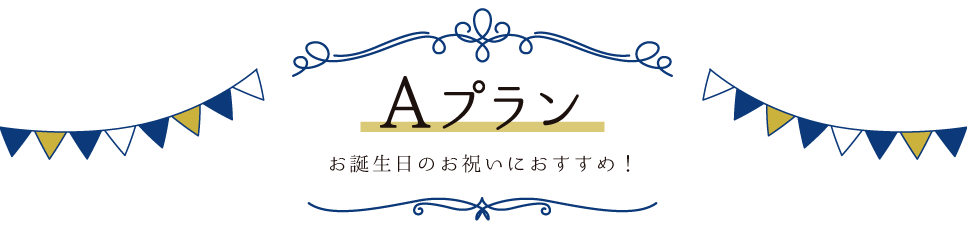 A计划