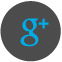 Google+