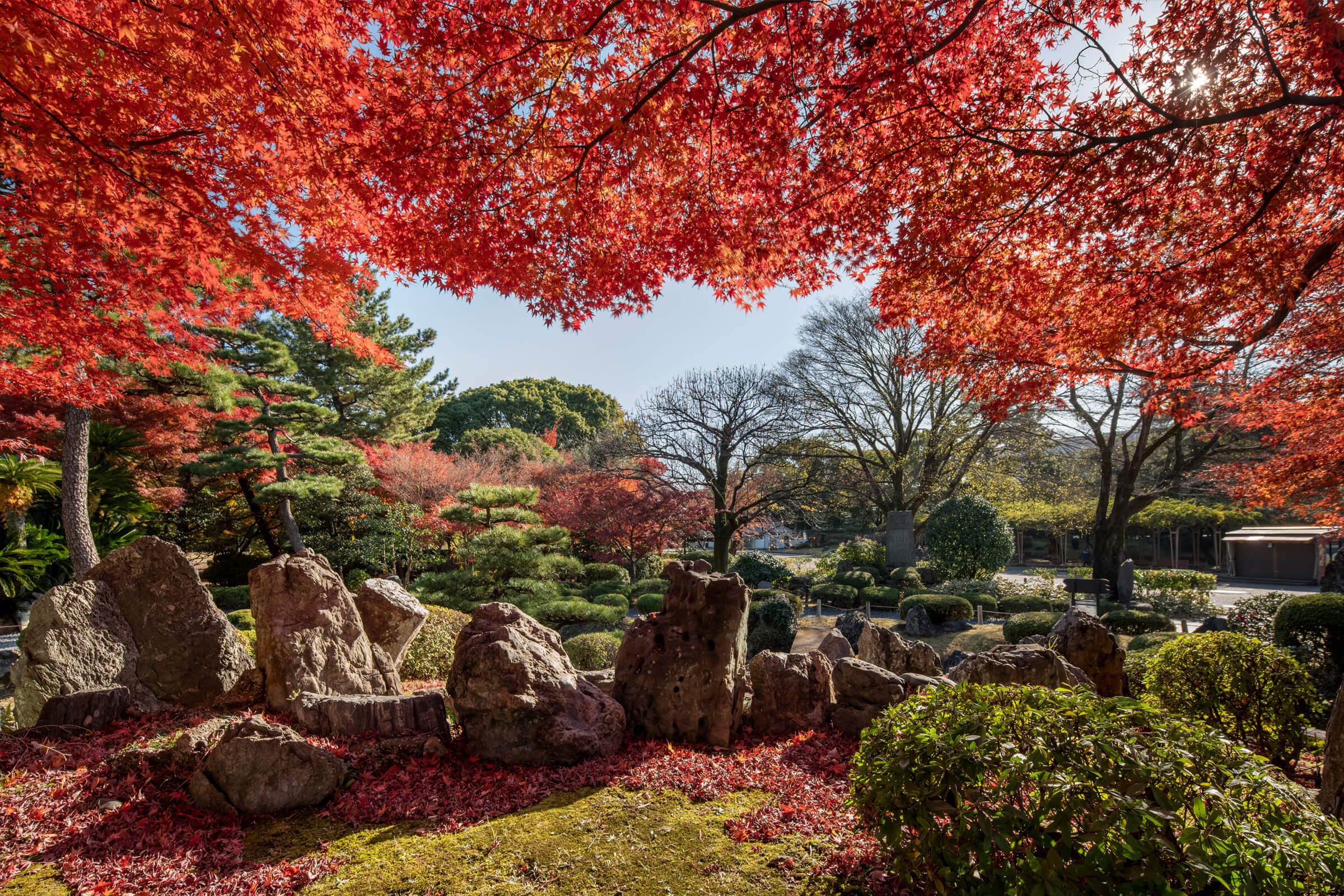 🍁10月和11月秋季活动通知🍁