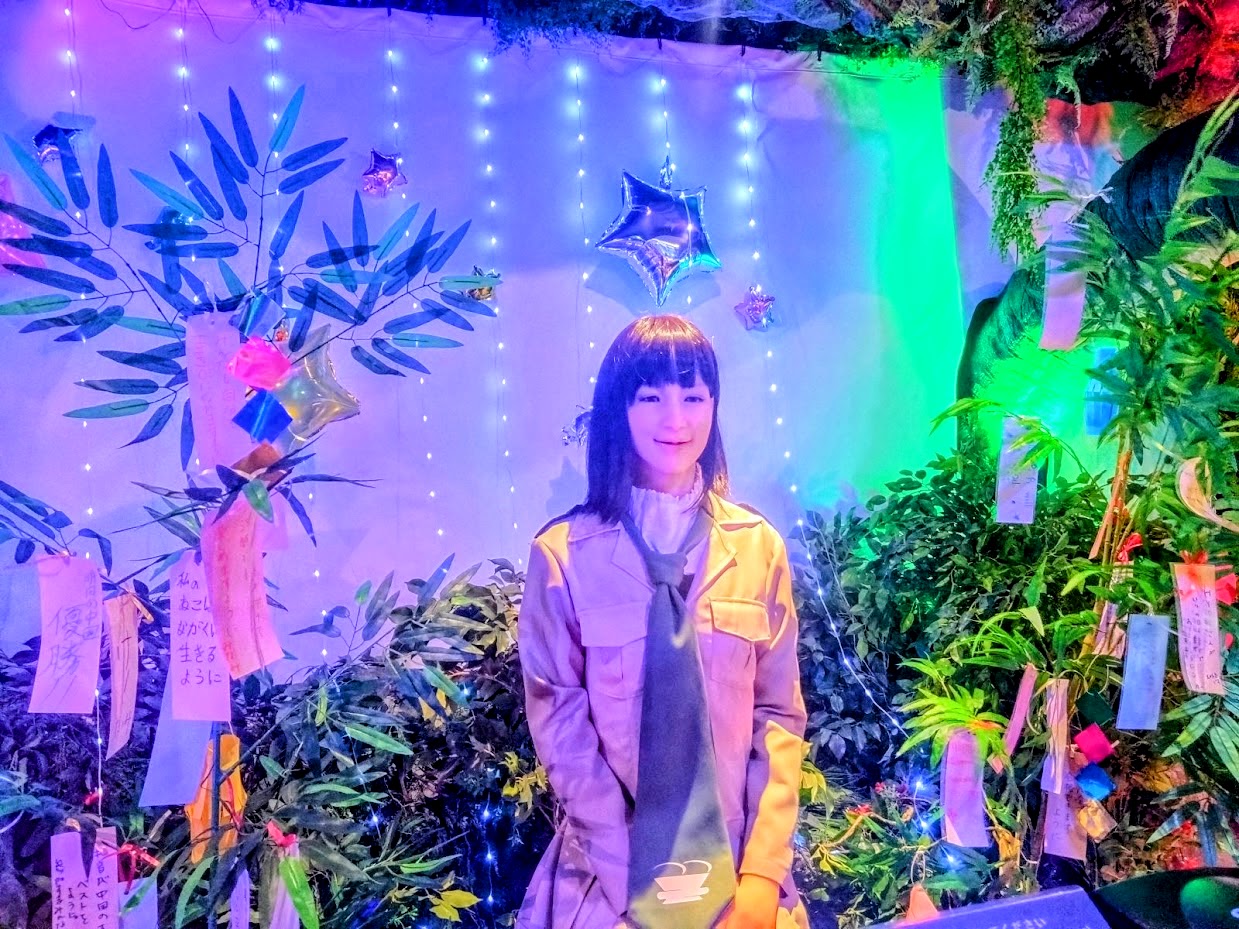 ☆彡 櫃檯已經變成七夕主題囉！☆彡