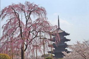 東寺