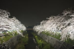 山崎川